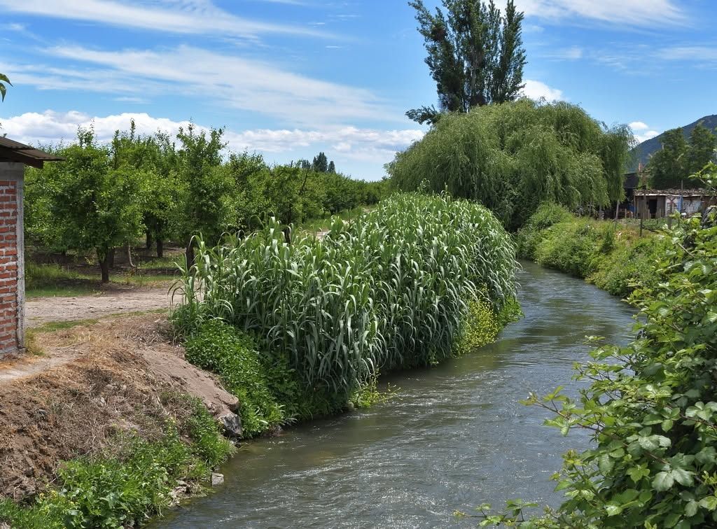 Canal de agua con vegetación y huertos en las orillas