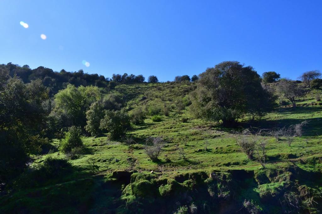 Cerro Codao, foto 9