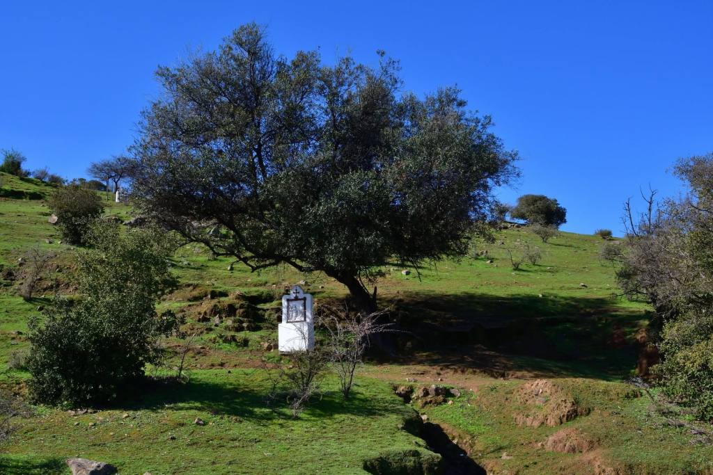 Cerro Codao, foto 10