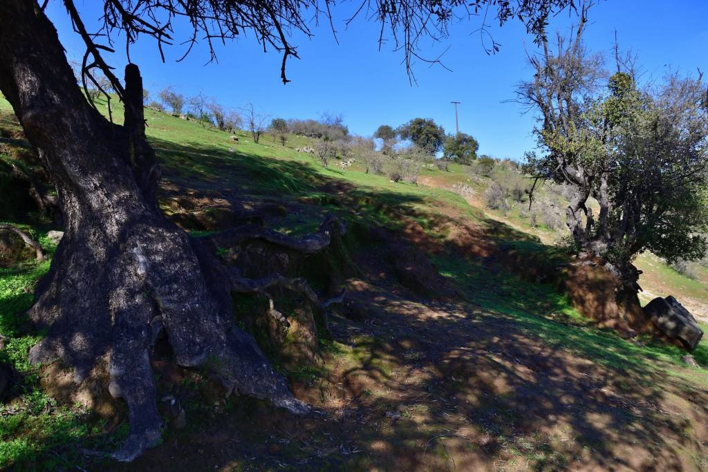 Cerro Codao, foto 12