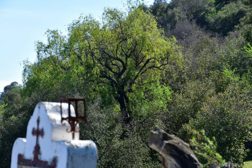 Cerro Codao, foto 13