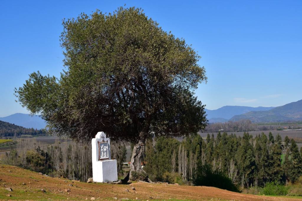 Cerro Codao, foto 16