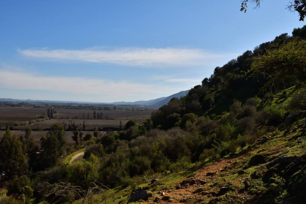 Cerro Codao, foto 17