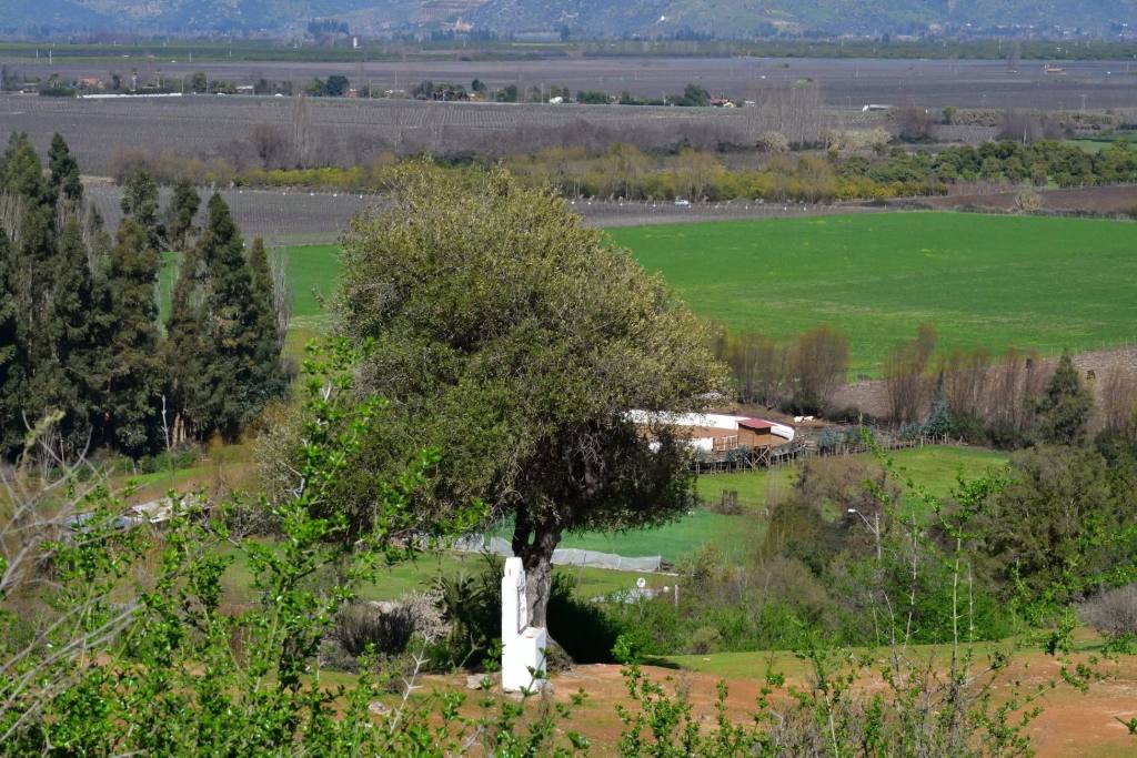 Cerro Codao, foto 18