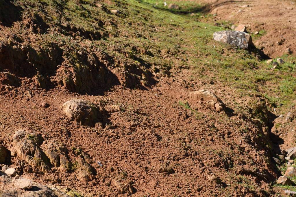 Cerro Codao, foto 20