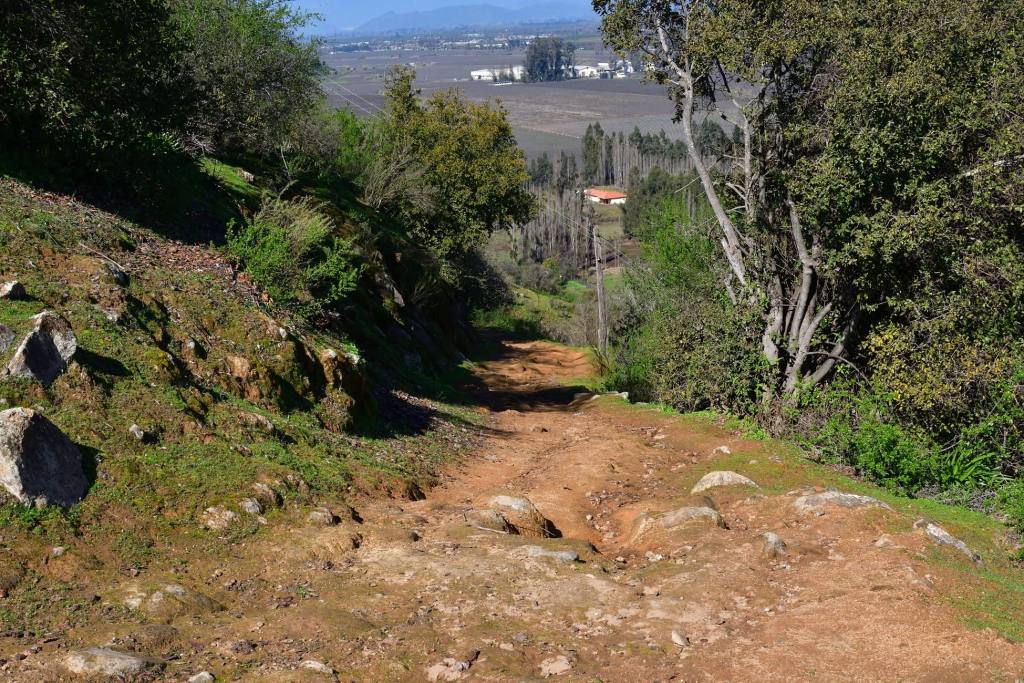 Cerro Codao, foto 22