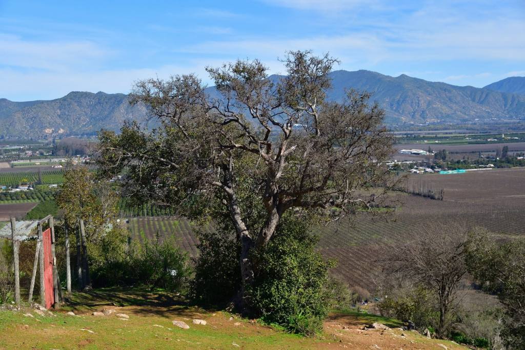 Cerro Codao, foto 27