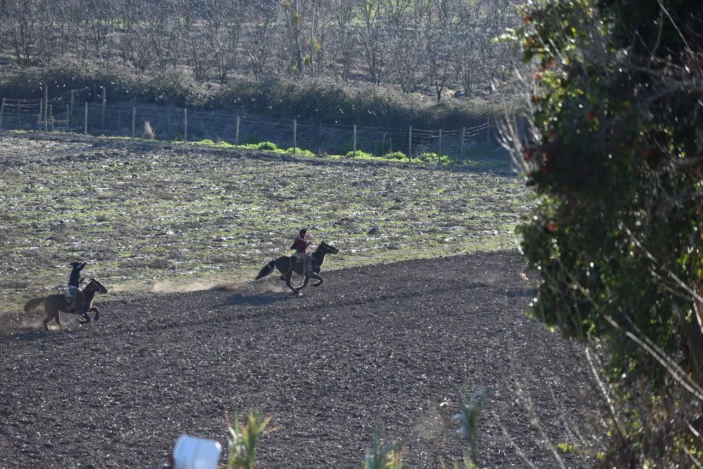 Dos jinetes a caballo sobre un campo arado