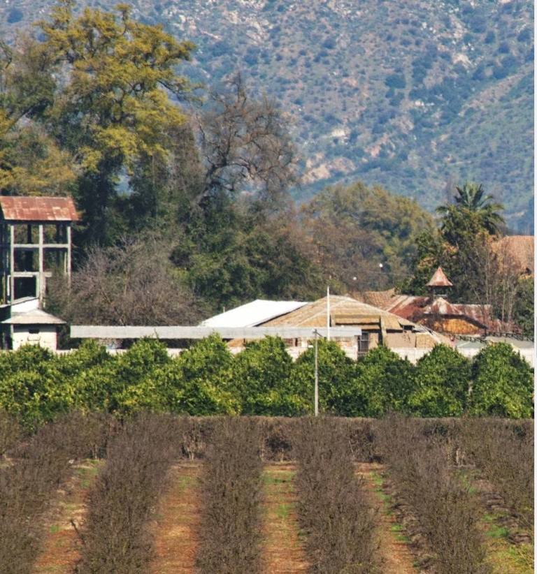 Huerto y cerros